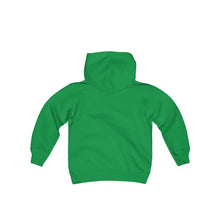 Load image into Gallery viewer, Youth Zoology Zone Hoodie
