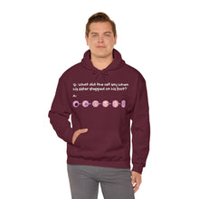 Load image into Gallery viewer, Adult MY-TOE-SIS Hoodie!
