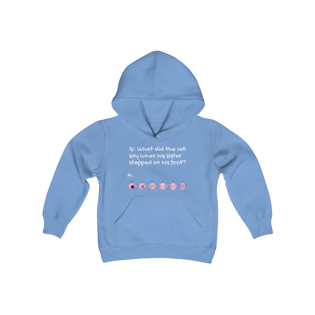 Youth MY-TOE-SIS Hoodie!